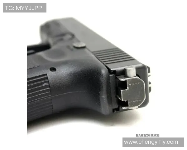 墨美洲与罗伯士的精彩对决解析与战术分析