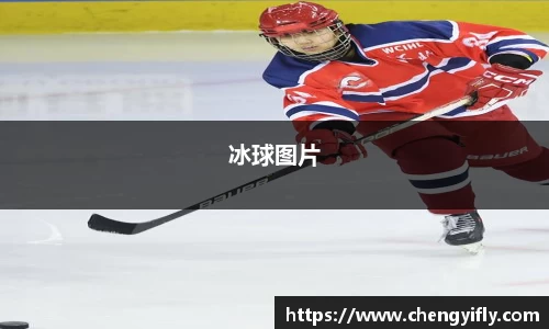 冰球图片