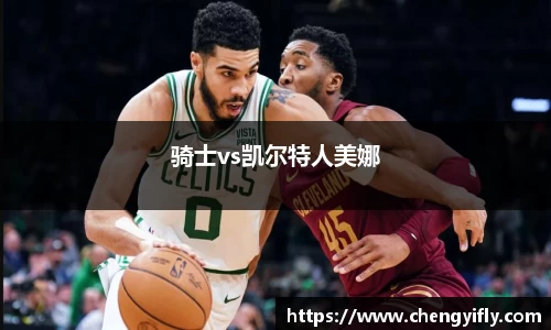 骑士vs凯尔特人美娜