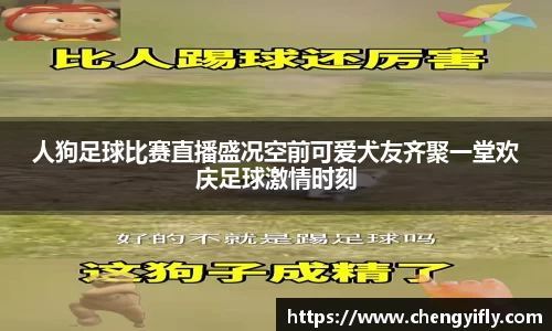人狗足球比赛直播盛况空前可爱犬友齐聚一堂欢庆足球激情时刻