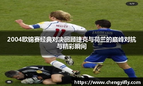 2004欧锦赛经典对决回顾捷克与荷兰的巅峰对抗与精彩瞬间