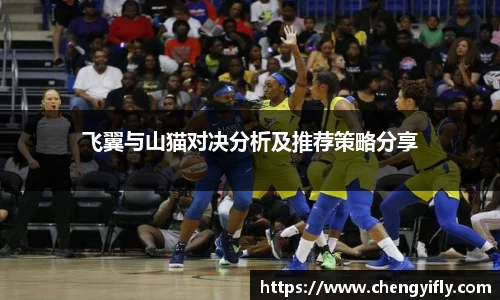 飞翼与山猫对决分析及推荐策略分享